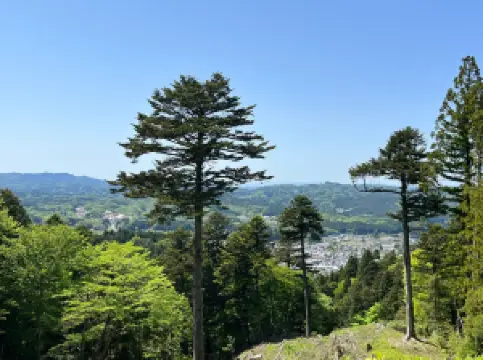 Iwamura Castle Ruins