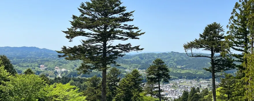 이와무라성