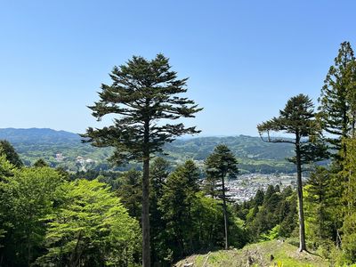 Iwamura Castle Ruins