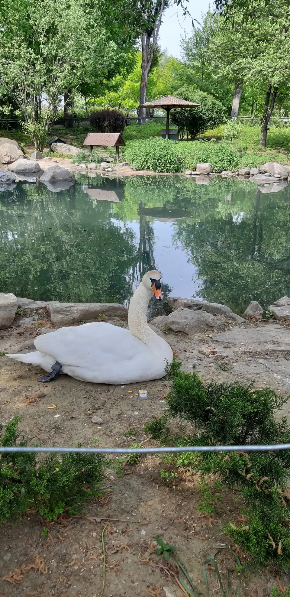 5_布爾薩動物園