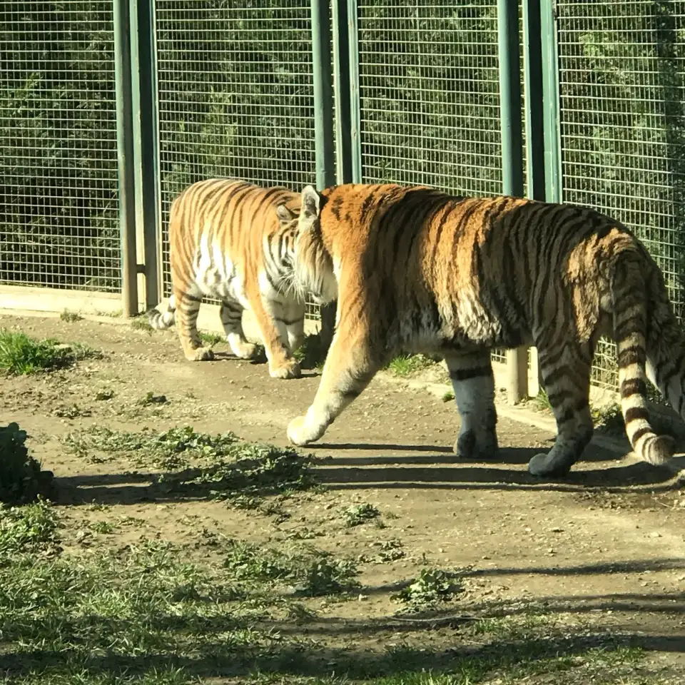 3_布爾薩動物園