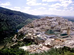 Moulay Idriss Zerhoun