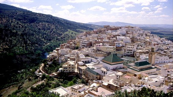 Moulay Idriss Zerhoun
