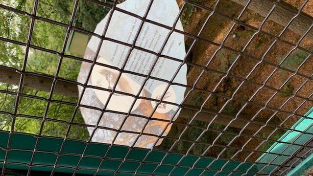 Outdoor Center Boomkroonpad