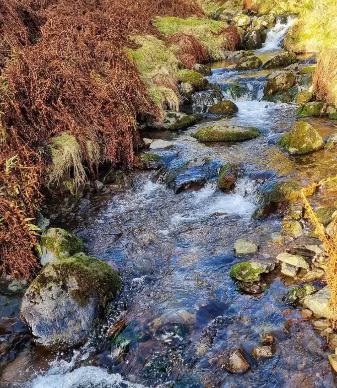 Sauchie