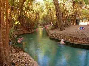 Katherine Hot Springs