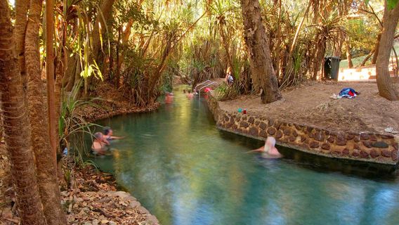 Katherine Hot Springs