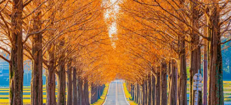 高島市のホテル