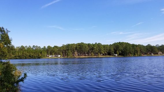 Laura S. Walker State Park