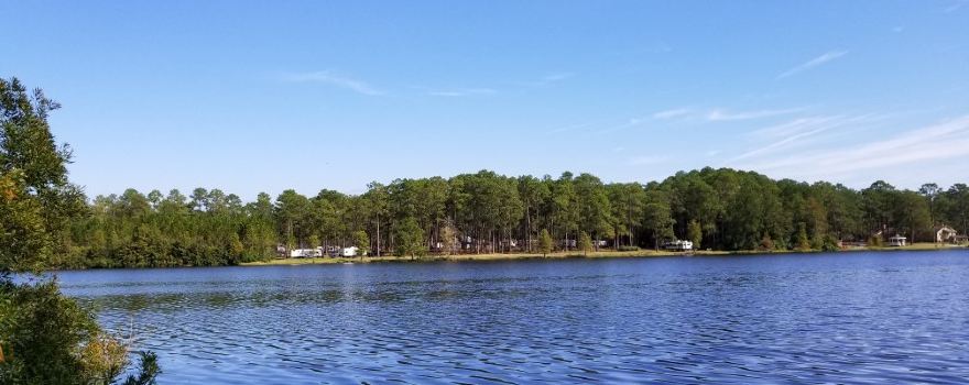 Laura S. Walker State Park