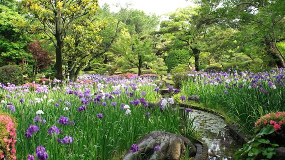 KIRISHIMA Sun Marine Stadium Miyazaki