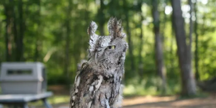 Denison Pequotsepos Nature Center