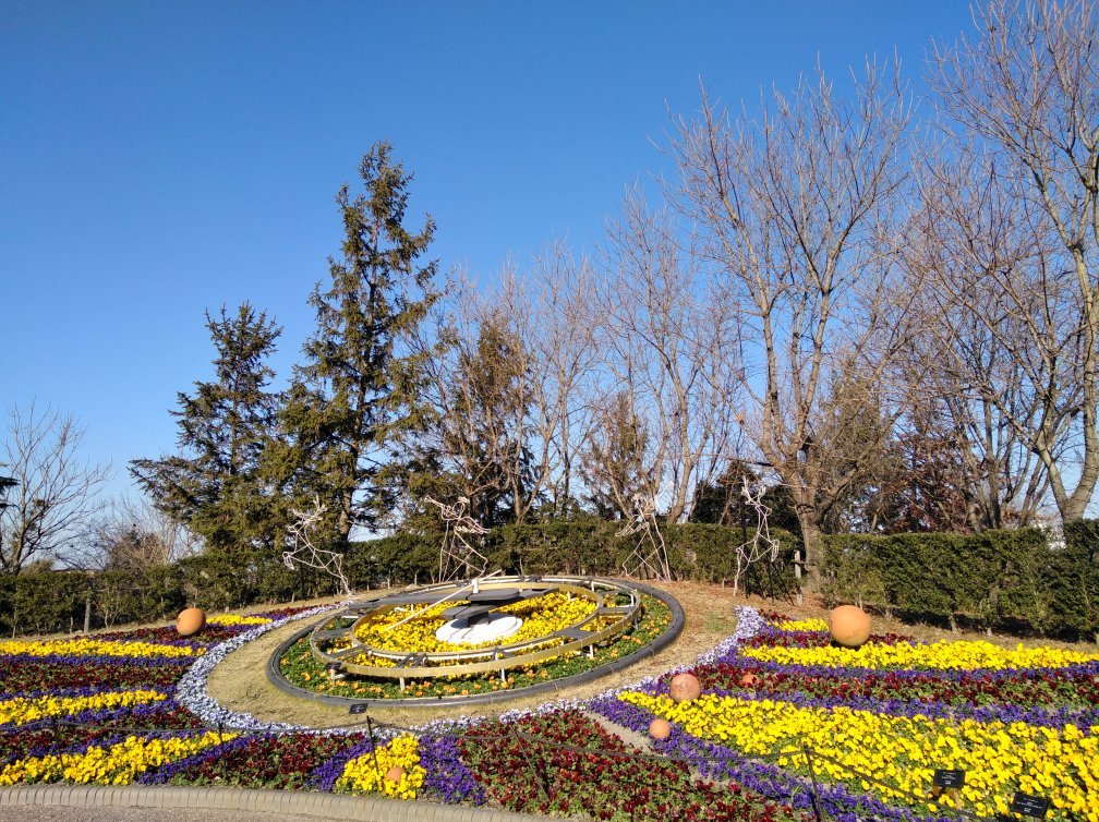 愛知 安城産業文化公園デンパーク Eチケット 予約