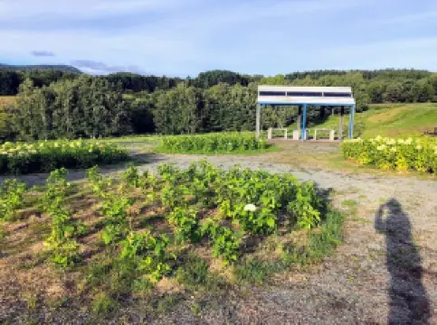 北海道立サンピラーパーク