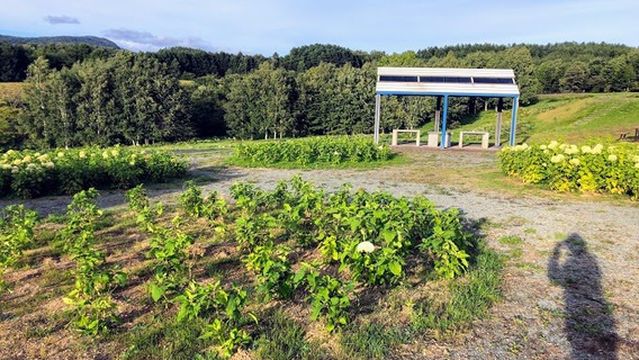 Sun Pillar Park Nisshin