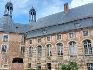 Castle of Saint-Fargeau