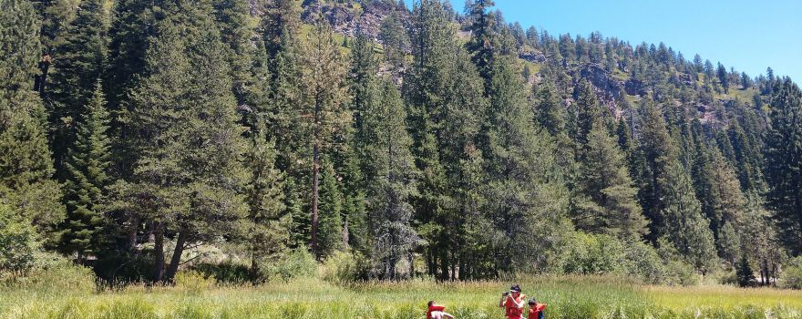 Truckee River Rafting