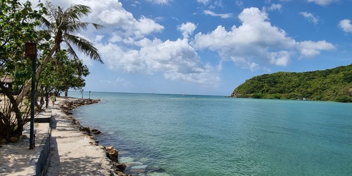Mae Haad Beach