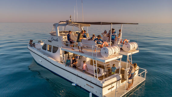 Broome Whale Watching