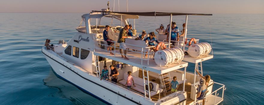 Broome Whale Watching