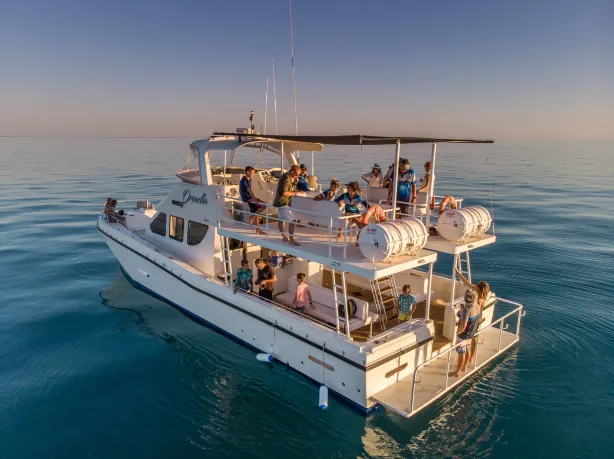Broome Whale Watching