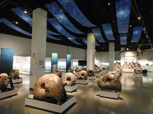 Mikasa City Museum