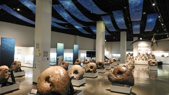 Mikasa City Museum