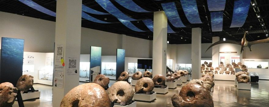 Mikasa City Museum