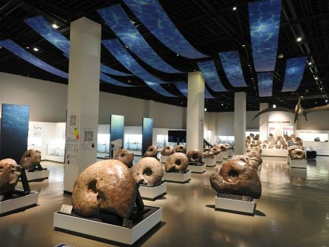 Mikasa City Museum