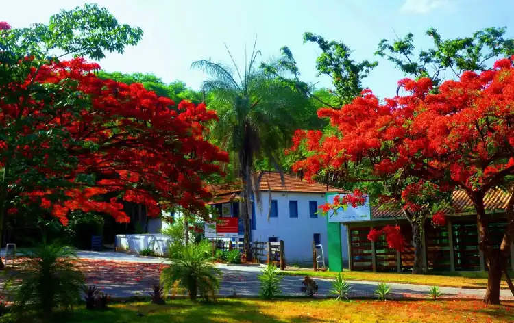 Hotels in Pains