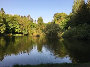 Municipal District of Bailieborough-Cootehill