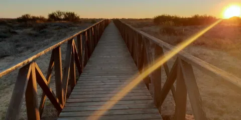 Las Marismas de Odiel