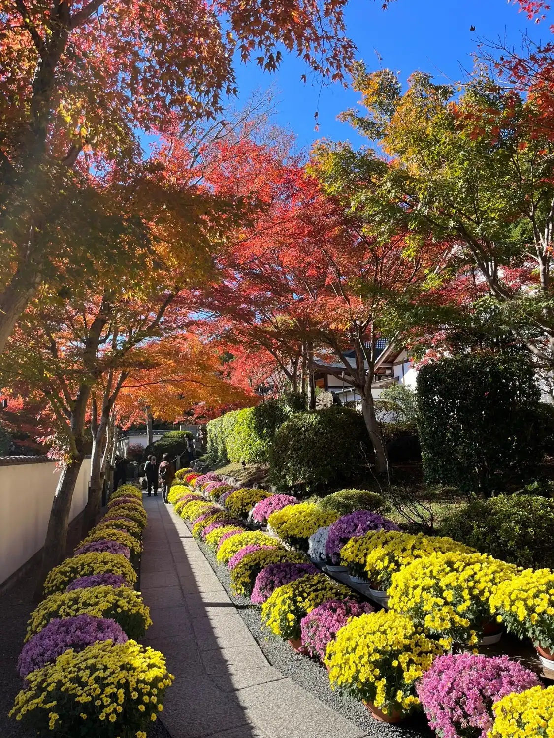 Hotels near Hotoku-ji Temple