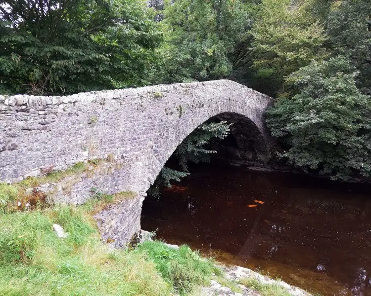 4_Stainforth Force