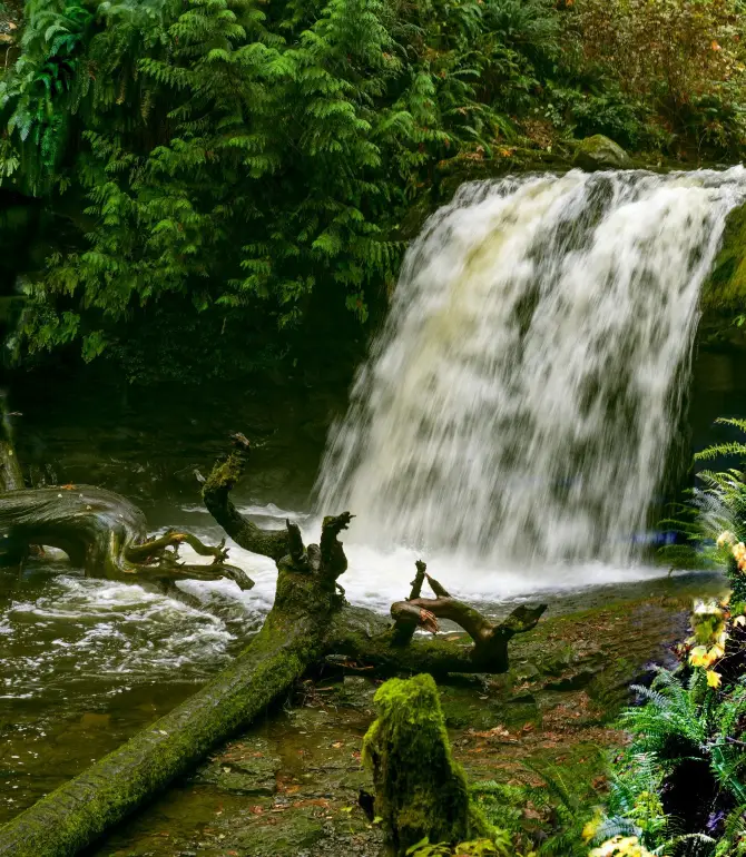 Cowichan Valley G