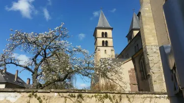 Statue of St Willibrord