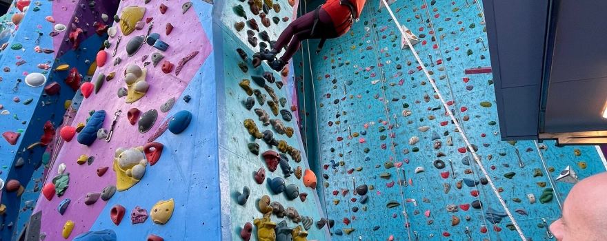 Gecko Climbing