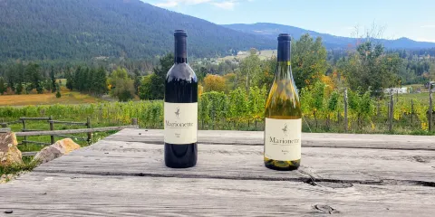 Marionette Winery