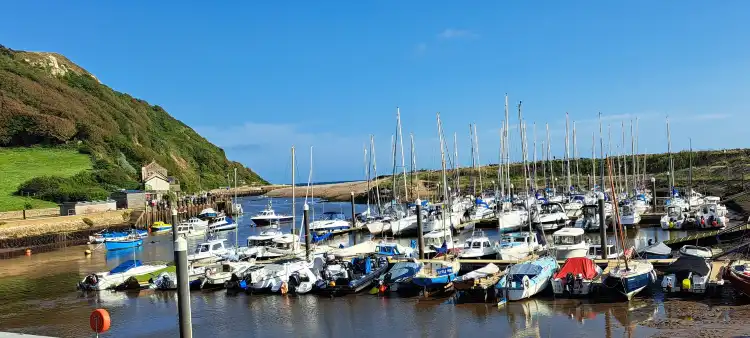 Hotels in Axmouth