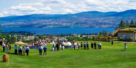 Off The Grid Organic Winery