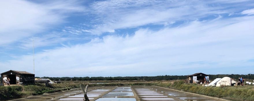 Marais salants de l'île d'Olonne