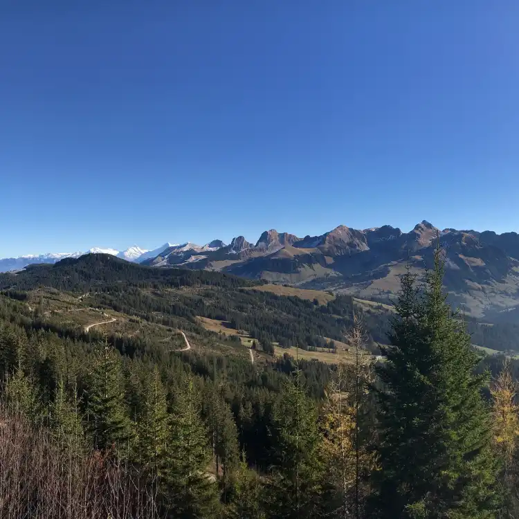 Hotel a Guggisberg