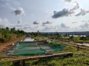 Lakeside Fish Farm