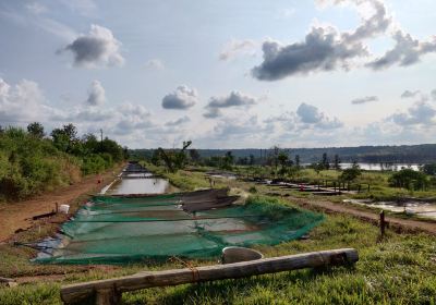 Lakeside Fish Farm