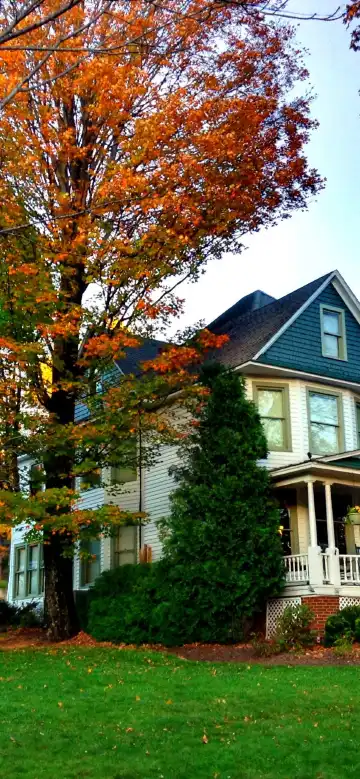 ブーンのホテル