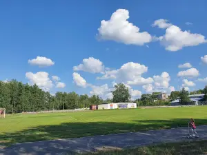 Basil Stadium