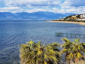 Pelitköy Bağlarburnu Coast