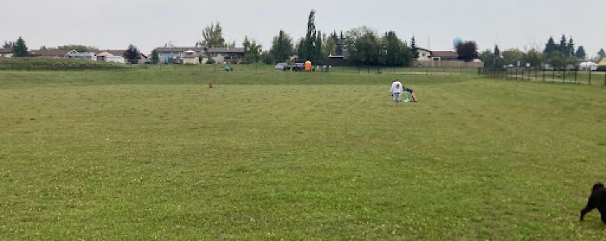 Off-leash Dog Park