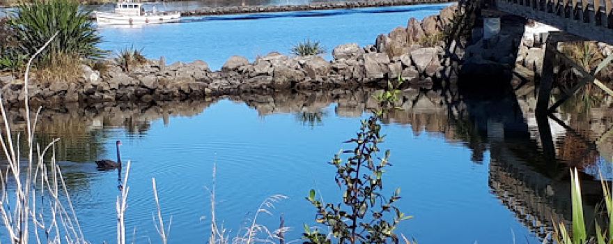 Lost Lagoon Bridge