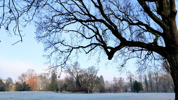 Parc Simon